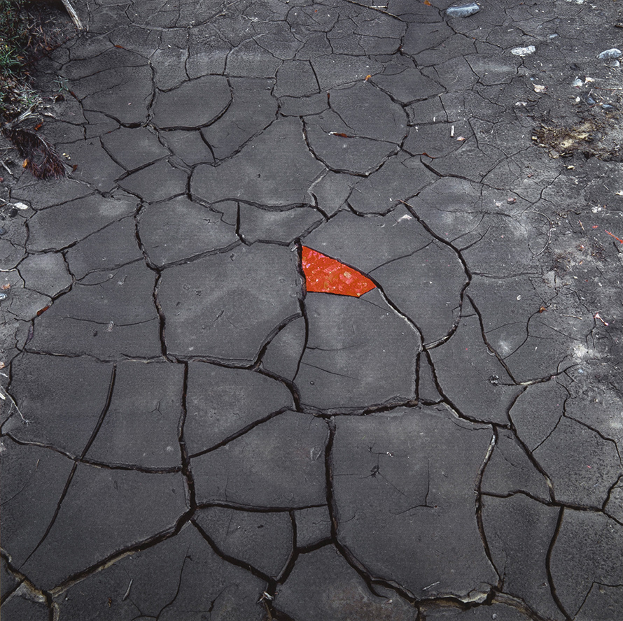  Andy Goldsworthy. – « Red Leaves on Cracked Earth » (Feuilles rouges sur terre craquelée), 2006 Galerie lelong, Paris, Photo : Fabrice Gibert 